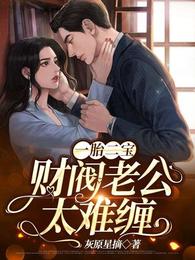 一胎二宝:财阀老公太难缠 封面