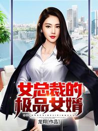女总裁的极品女婿 封面