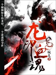 龙印血魂 封面