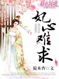 妃心难求 封面