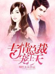 专情总裁宠上天 封面
