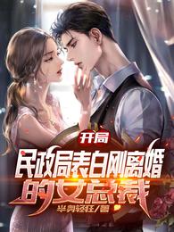 开局,民政局表白刚离婚的女总裁 封面