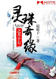 灵珠奇缘之月十七 封面