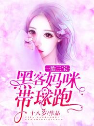 一胎三宝：黑客妈咪带球跑 封面