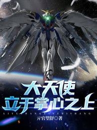 大天使,立于掌心之上 封面
