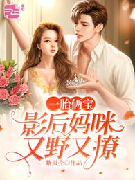 一胎俩宝：影后妈咪又野又撩 封面