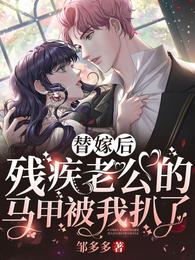 替嫁后,残疾老公的马甲被我扒了 封面