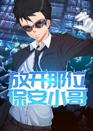放开那位保安小哥 封面