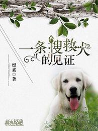 一条搜救犬的见证 封面