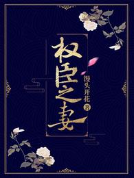权臣之妻 封面