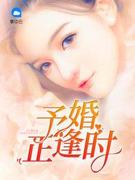 予婚正逢时 封面