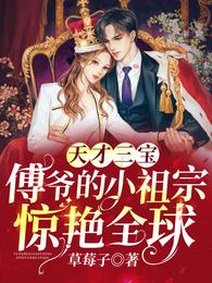 天才三宝：傅爷的小祖宗惊艳全球 封面