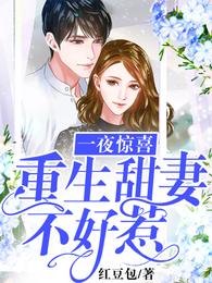 一夜惊喜：重生甜妻不好惹 封面