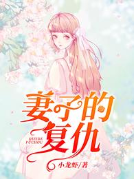 妻子的复仇 封面
