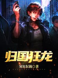 归国狂龙 封面