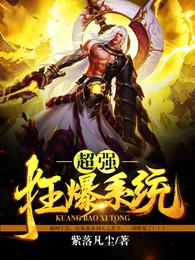 超强狂暴系统 封面