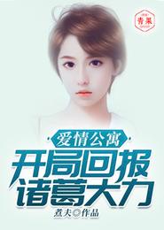 爱情公寓:开局回报诸葛大力 封面