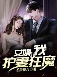 女婿:我,护妻狂魔 封面