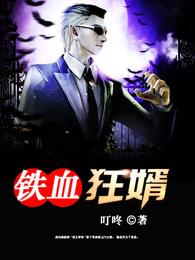 铁血狂婿 封面