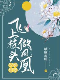 奴婢想要飞上枝头做凤凰 封面