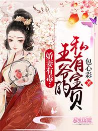 娇妻有毒：王爷的私有宝贝 封面