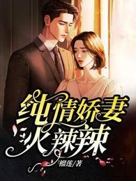 纯情娇妻火辣辣 封面