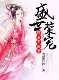 盛世荣宠：辣妻不好惹 封面