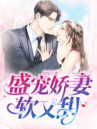 盛宠娇妻软又甜 封面