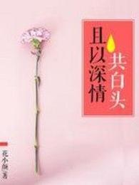 且以深情共白头 封面