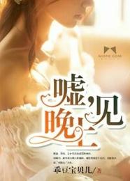 嘘,晚上见 封面