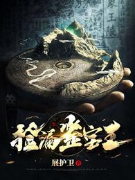 捡漏鉴宝王 封面
