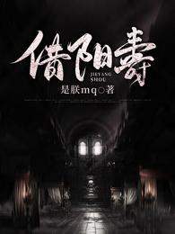借阳寿 封面