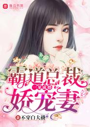 一见成婚，霸道总裁娇宠妻 封面