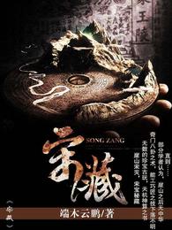 宋藏 封面