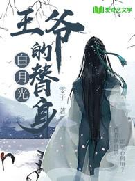 王爷的白月光替身 封面