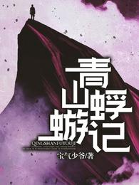 青山蜉蝣记 封面
