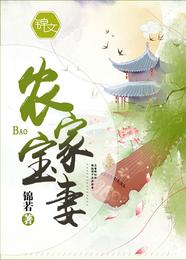 农家宝妻 封面