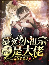 一胎两宝:慕爷的小祖宗是大佬 封面
