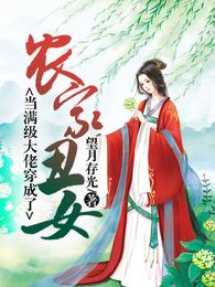 当满级大佬穿成了农家丑女 封面