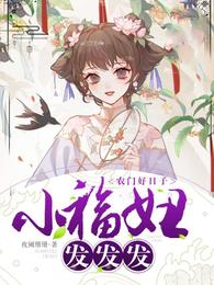 农门好日子：小福妞，发发发 封面