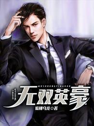 无双英豪 封面