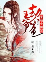 呆萌小兽妃:王爷,劫个色 封面