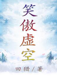 笑傲虚空 封面