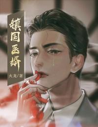 镇国医婿 封面