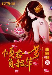 倾君一梦负韶华 封面