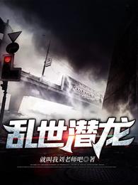 乱世潜龙 封面
