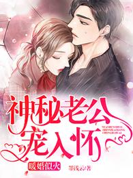 暖婚似火:神秘老公宠入怀 封面