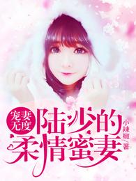 宠妻无度：陆少的柔情蜜妻 封面