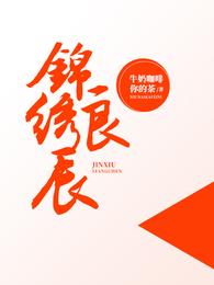 锦绣良辰 封面