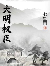 大明权臣 封面